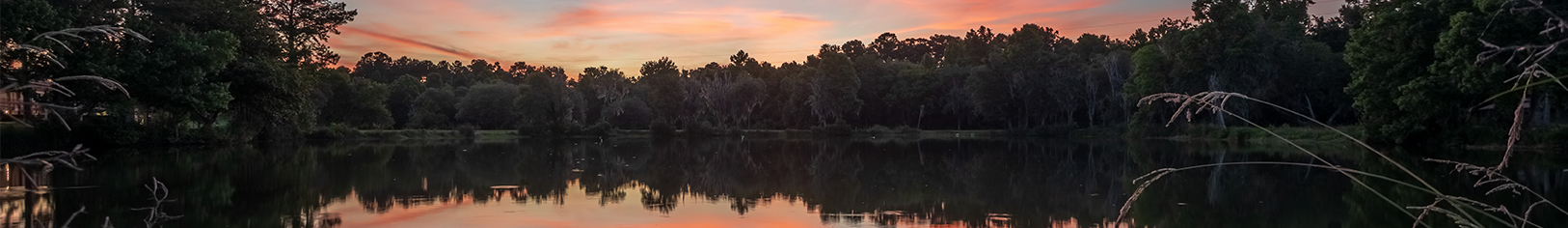 Campus Lake