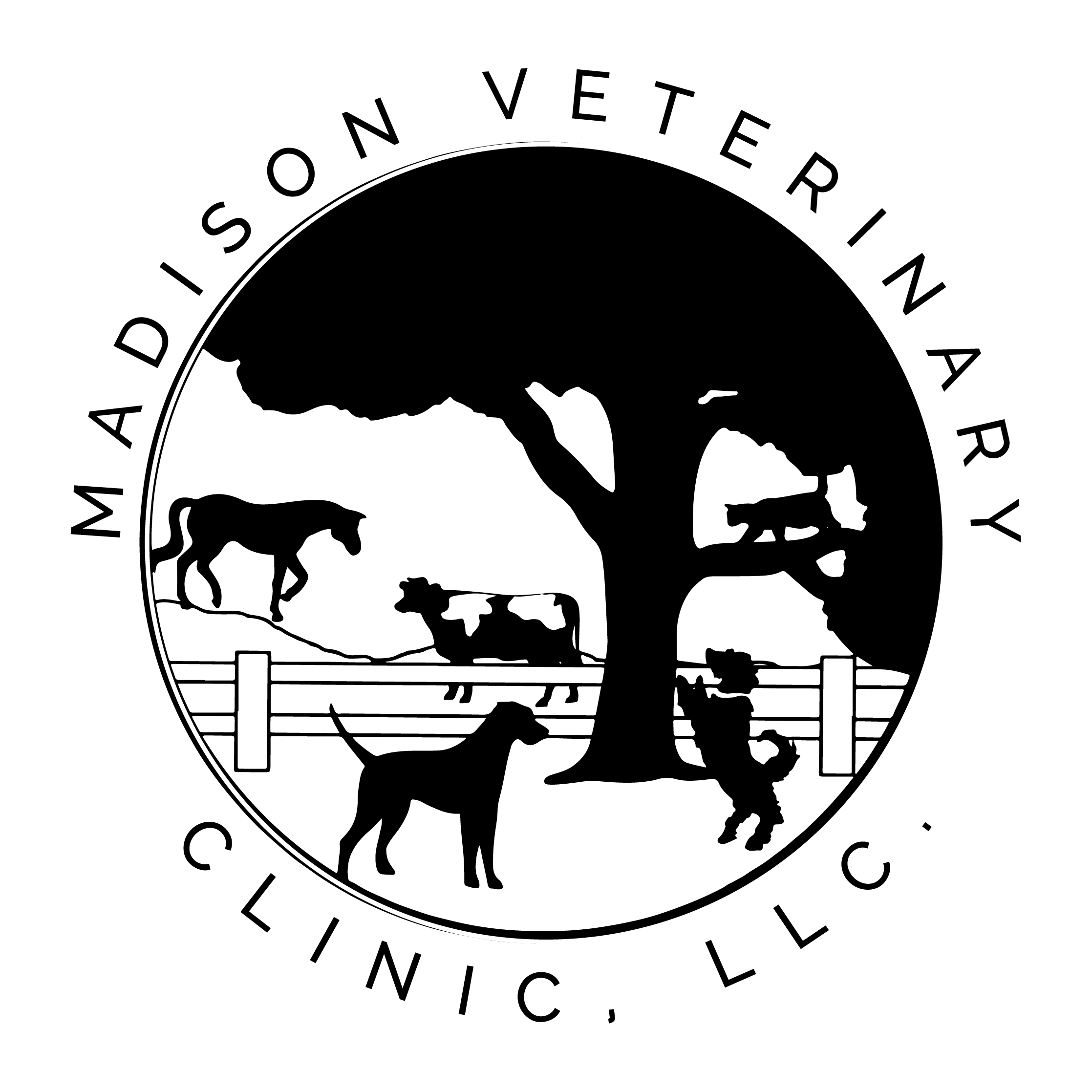 Madisong Vet