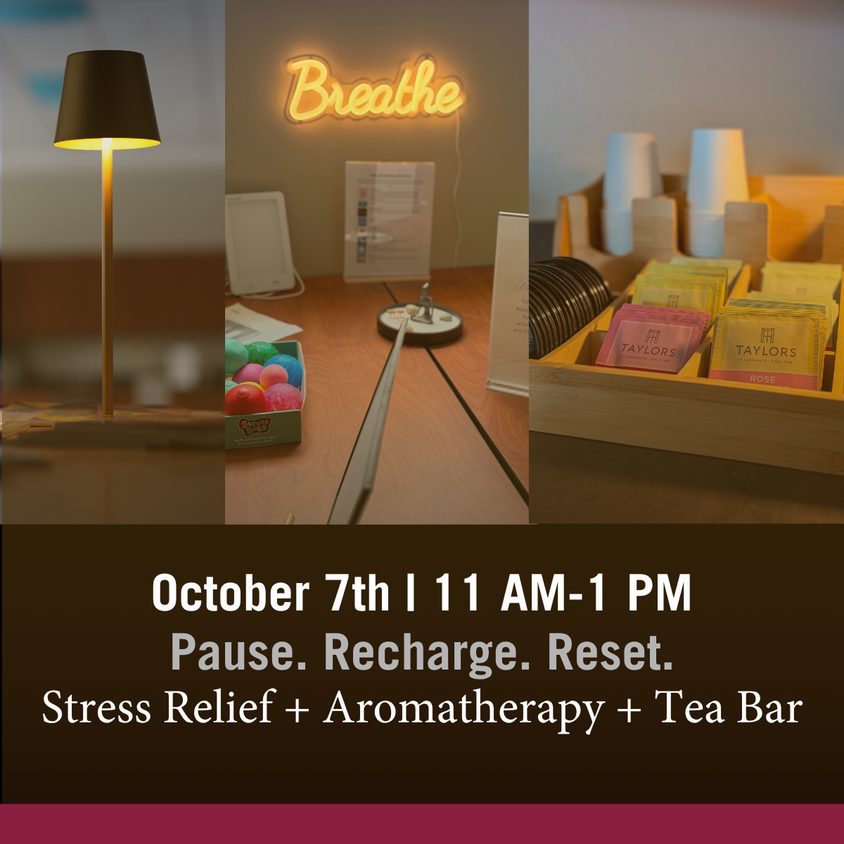 Wellness Suite Wellness Wednesday